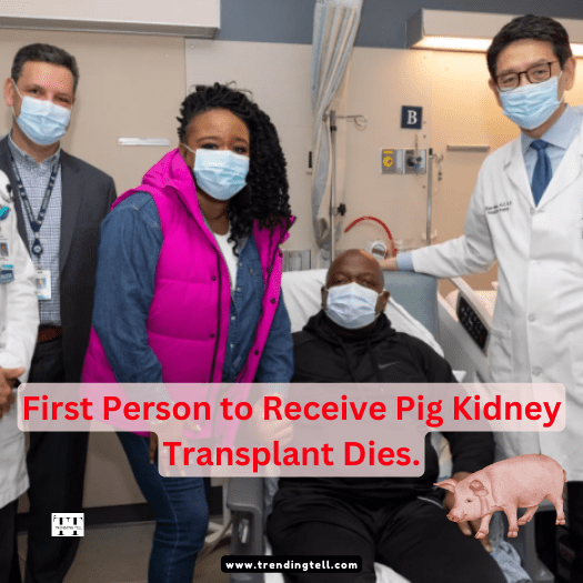 Pig Kidney Transplant, man dies. www.trendingtell.com